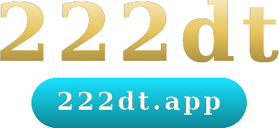 222dt logo